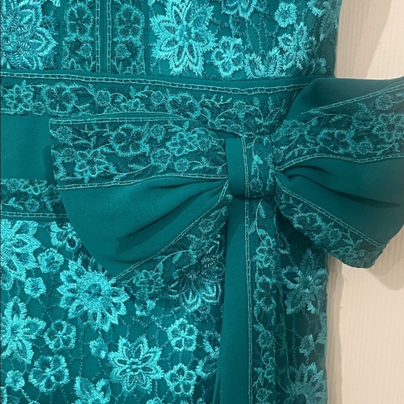 ESHA EMBROIDERED WAIST BOW GOWN Tadashi Shoji - Picture 3 of 5